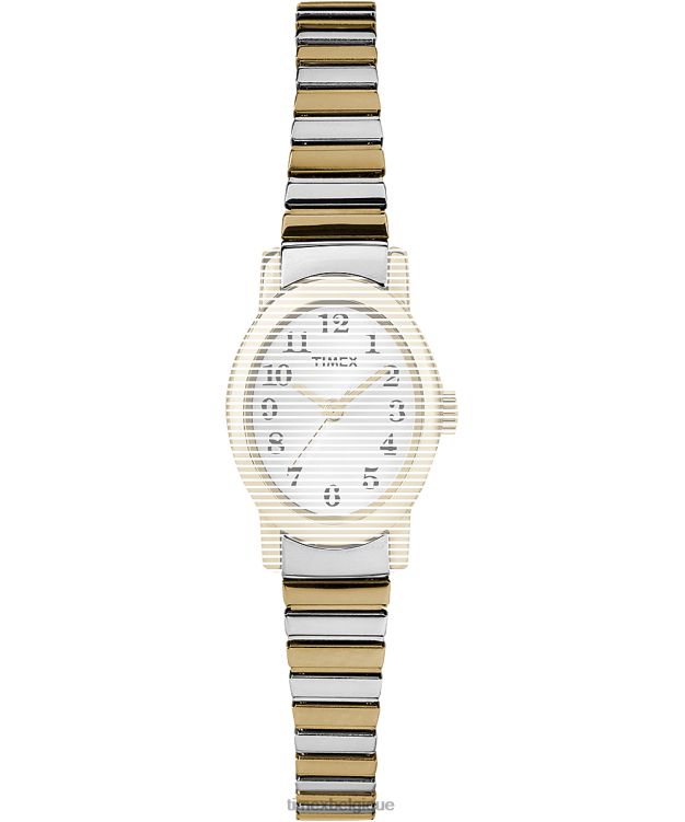 sangles | Timex unisexe bracelet de remplacement pour bracelet cavatina R2F20661 deux tons