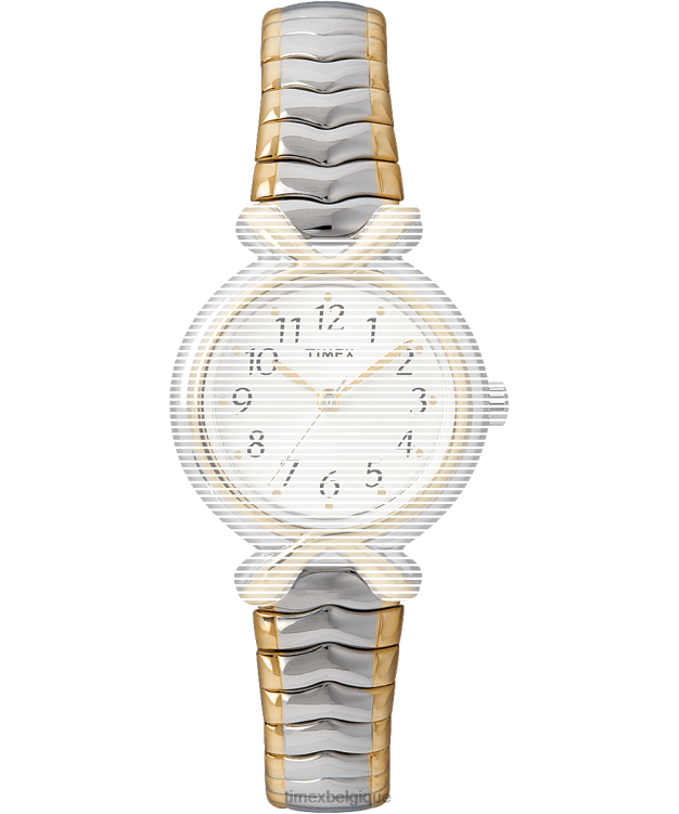 sangles | Timex unisexe sangle de remplacement pour bande d'extension plaisante de 25 mm R2F20557 deux tons
