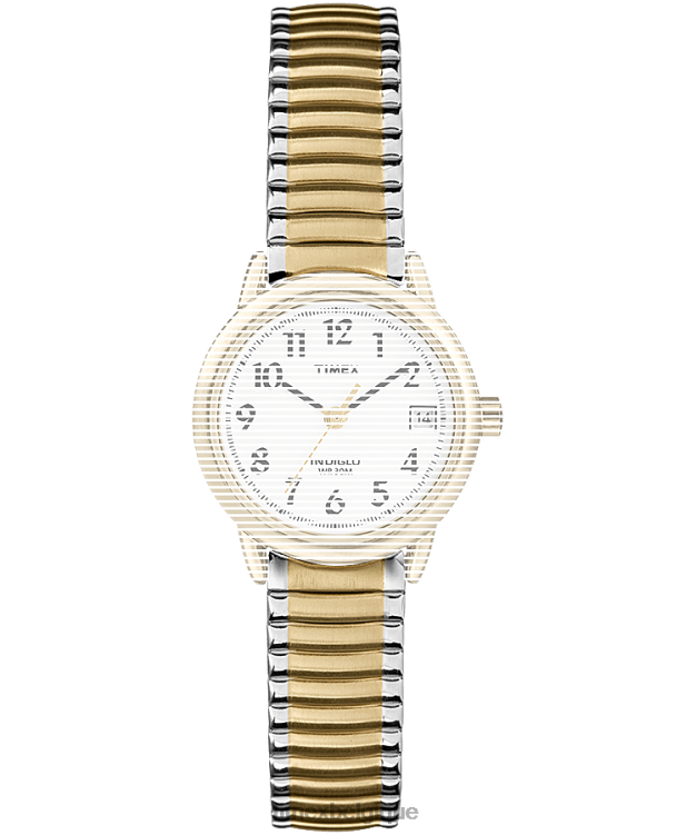 sangles | Timex unisexe sangle de remplacement pour une lecture facile R2F20643 deux tons